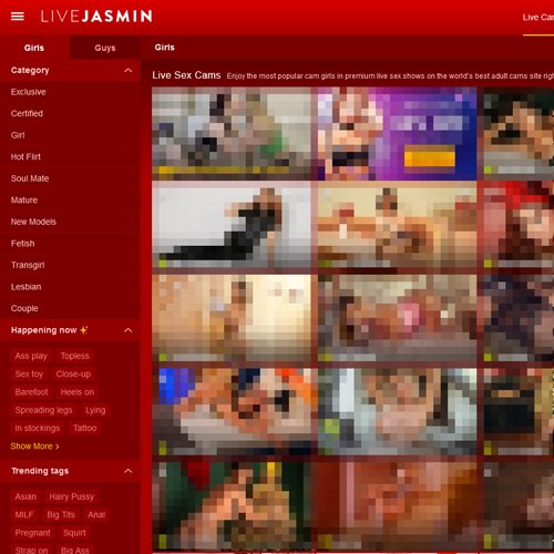 The interface of the LiveJasmin website